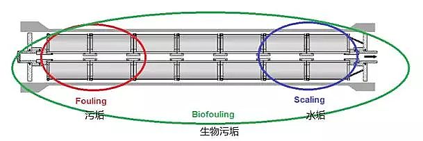 Ҭ̿S\෴B͸ĤϵyĆ}cȡʩ