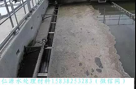 ԴxӾ۱ϩHPAMSҎ߽Wassmannsdorf ˮ̎S