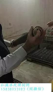 ԴxӾ۱ϩHPAMSҎ߽Wassmannsdorf ˮ̎S