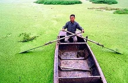 VϏSԔˮwIBԭͼgʩ