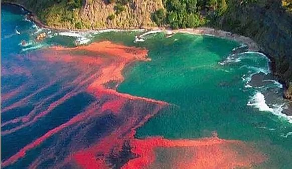 VϏSԔˮwIB򡢷ԭͼgʩ