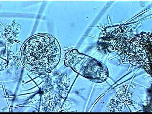 xӾ۱ϩCPAMaSҡÛ@Щԭ