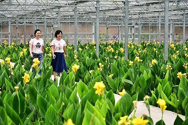 ۺȻXPACSҡGɫ塱cɳm(x)l(f)չ?ji)uНuh(yun)