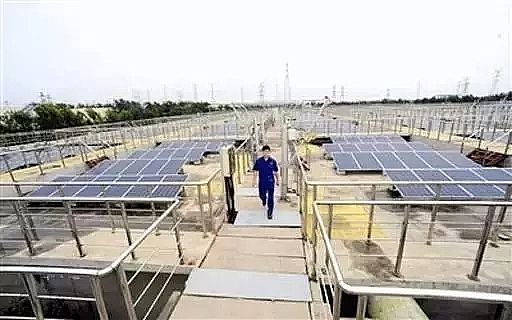 ʯӢɰVa(chn)Sȫˮ̎Sվ^20GW