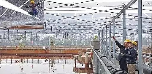 ʯӢɰVa(chn)Sȫˮ̎Sվ^20GW