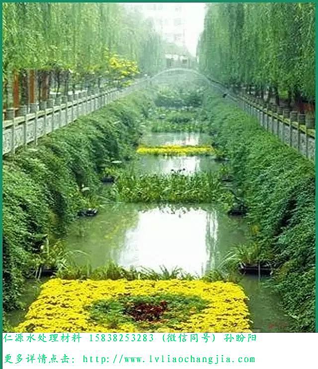 VϏSҽڳˮwİ˴`^(q)