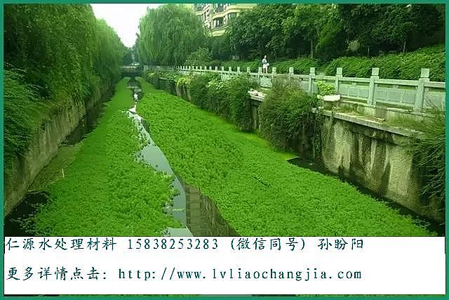 VϏSҽڳˮwİ˴`^(q)