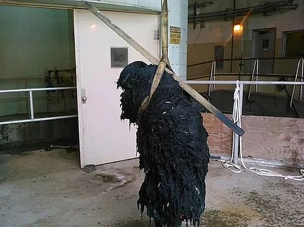 Ҭ̿a(chn)Sˮ̎SÿƳ1