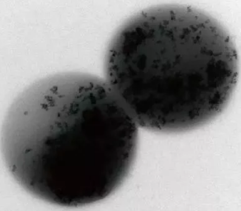 ɽrVaSұPc2018깤Iˮ̎I¿Ƽ