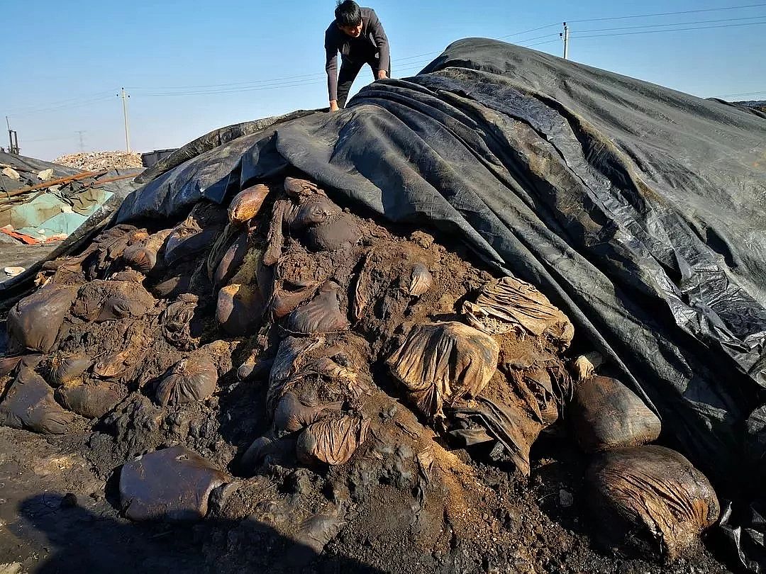 xӾ۱ϩCPAMS|Ŀ@ĴAȾ!