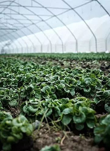 xӾ۱ϩNPAMaSңUˮ̎NĲˣ߀ܳԆ?