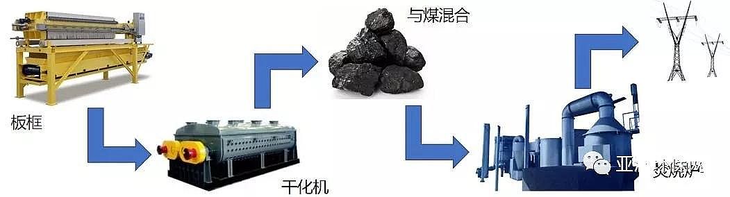 xӾ۱ϩCPAMaS̽ӑ̎þ·OӋ