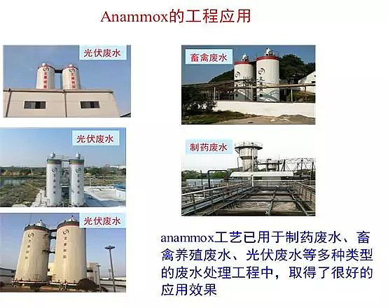 纖維球濾料廠家厭氧氨氧化在全球的發展