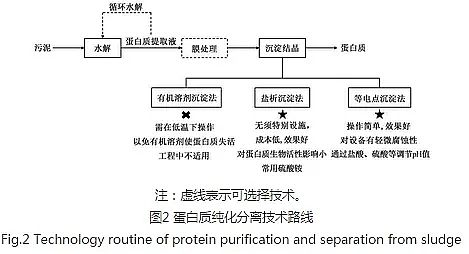 培菌葡萄糖廠家城市污泥中蛋白質資源化