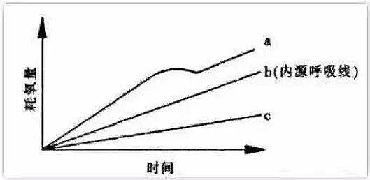 稀土瓷砂濾料生產(chǎn)廠家廢水的可生化性是怎么回事?判斷可生化性有哪些方法?
