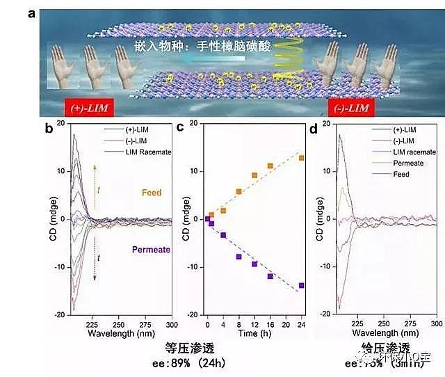 |ĭVVEPSSЇƴڶSxĤĸЧxԝB͸оȡMչ