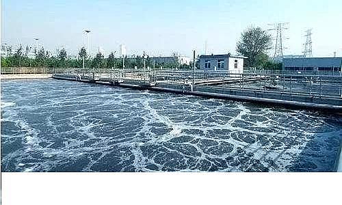 2019wSVaSrˮ̎팢ɞˮ̎