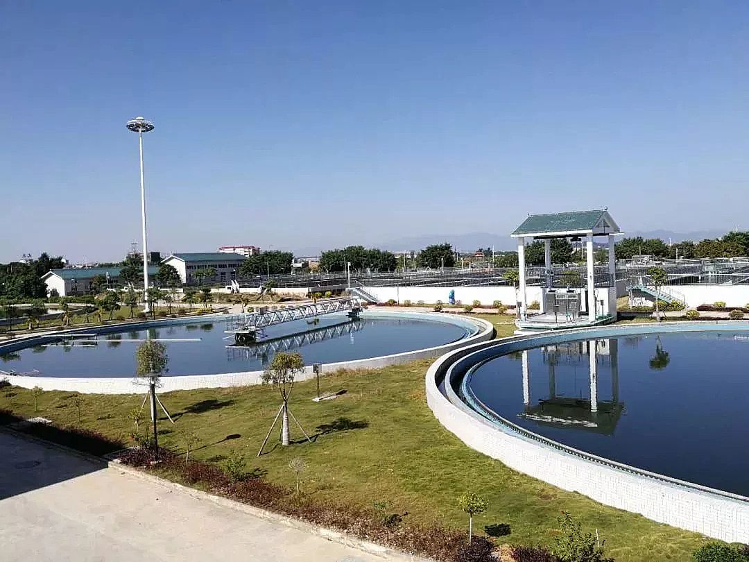 2019ꇊFۺFPFSa(chn)SҰl(f)ԲVSԲˮ̎Sƾ?