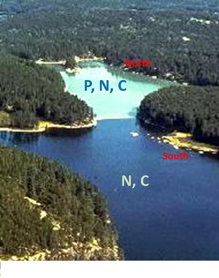 精制冷卻塔填料廠家湖泊富營養化治理控磷?還是控氮?