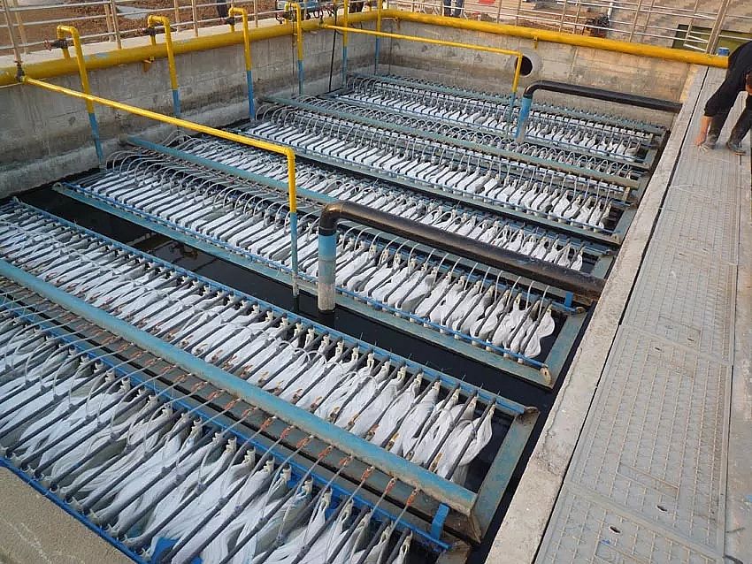 20195AӺYSMBRUFROĿĤʹẸ́kɽ?