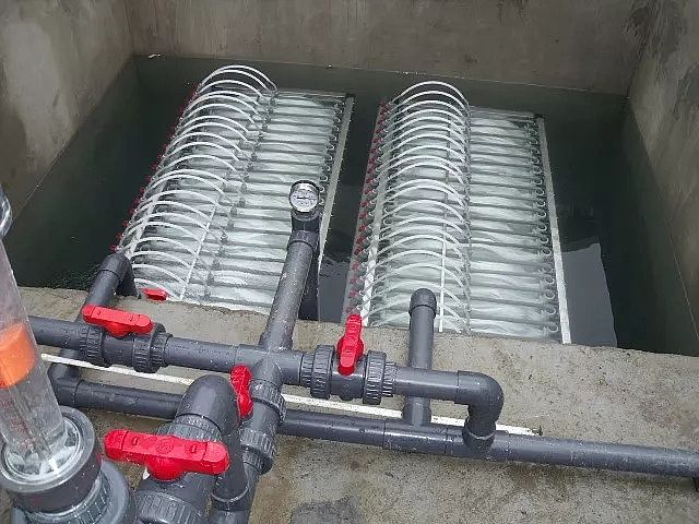 20195AӺYSMBRUFROĿĤʹẸ́kɽ?