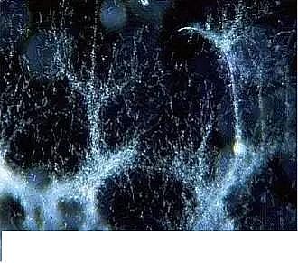 優質果殼濾料廠家污水處理指示性微生物大全!敏感者慎入