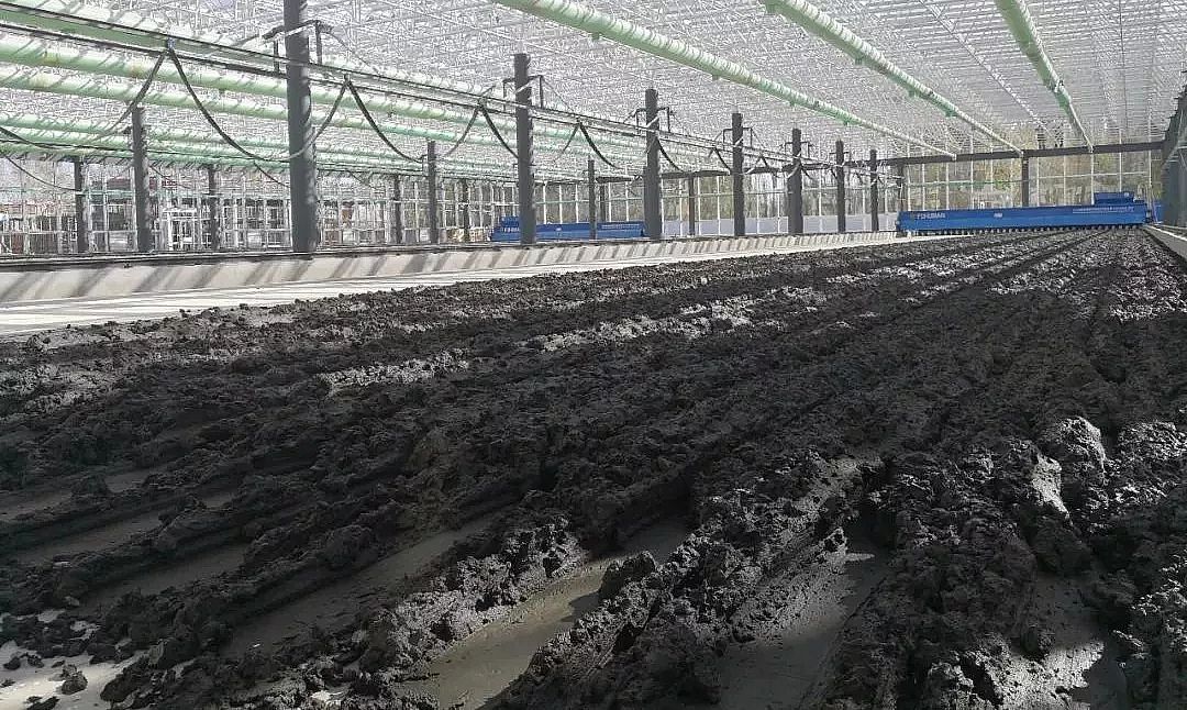 (yng)xӾ۱ϩa(chn)S̎̎õĶxڵĆ(wn)}ͽQ