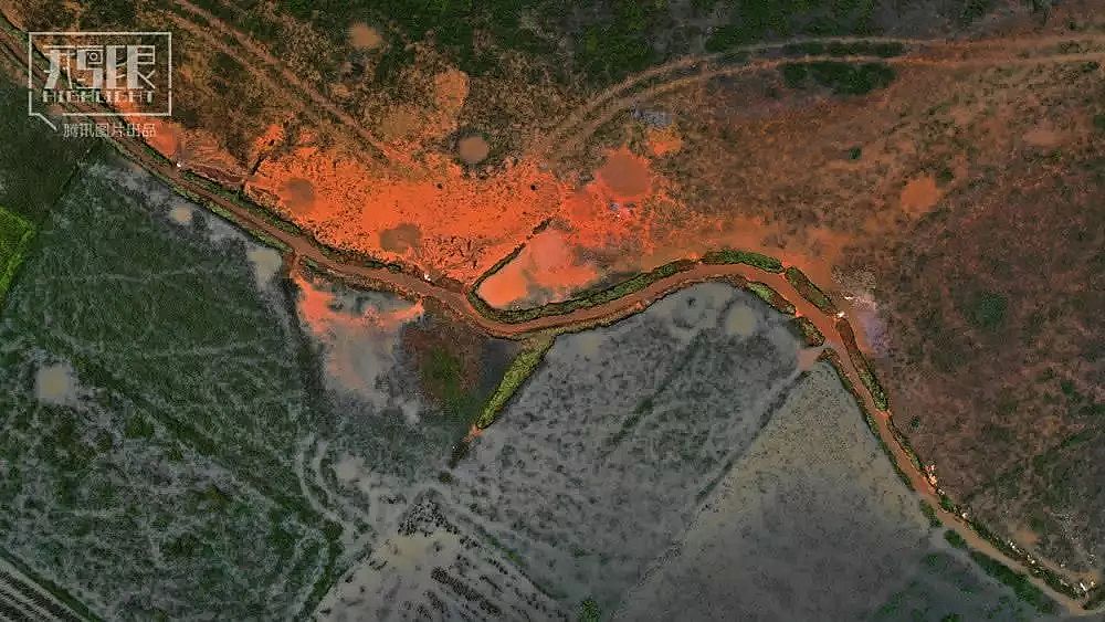 2019AʽȻXSҰlؽٺ͡ˮӰµĴfʮorﱻȾFPɫ