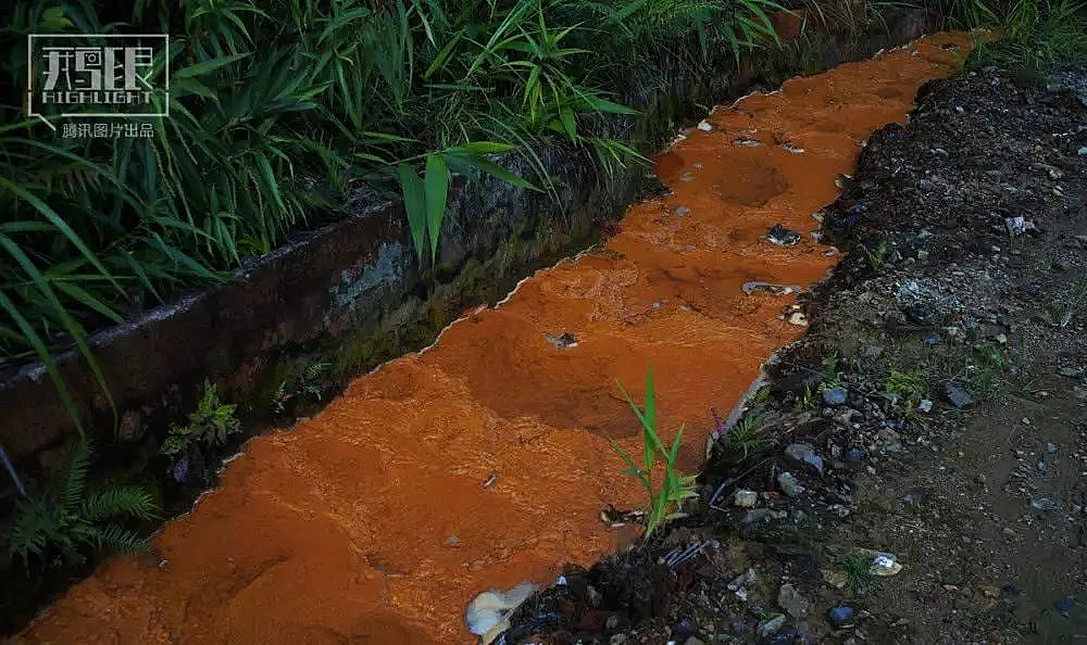 2019AʽȻXSҰlؽٺ͡ˮӰµĴfʮorﱻȾFPɫ