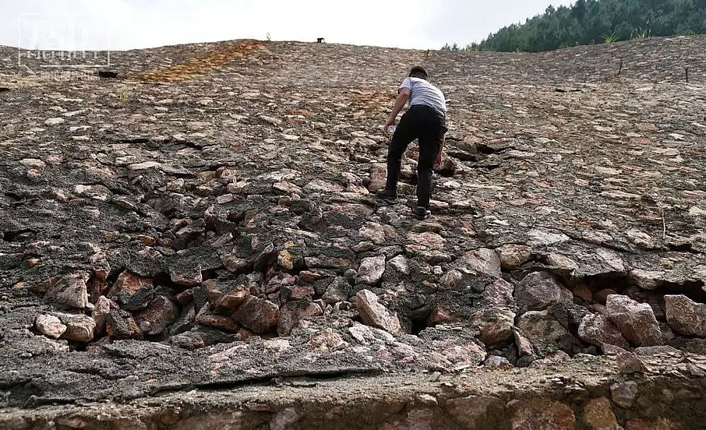 2019AʽȻXSҰlؽٺ͡ˮӰµĴfʮorﱻȾFPɫ