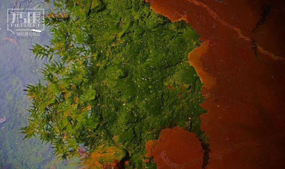 2019AʽȻXSҰlؽٺ͡ˮӰµĴfʮorﱻȾFPɫ