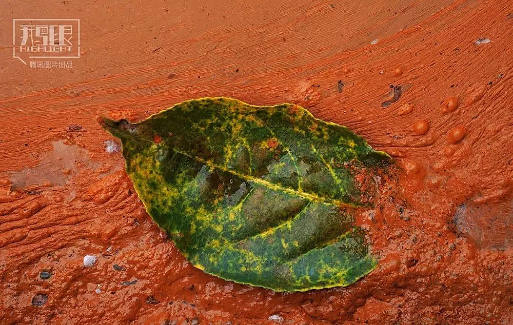 2019AʽȻXSҰlؽٺ͡ˮӰµĴfʮorﱻȾFPɫ