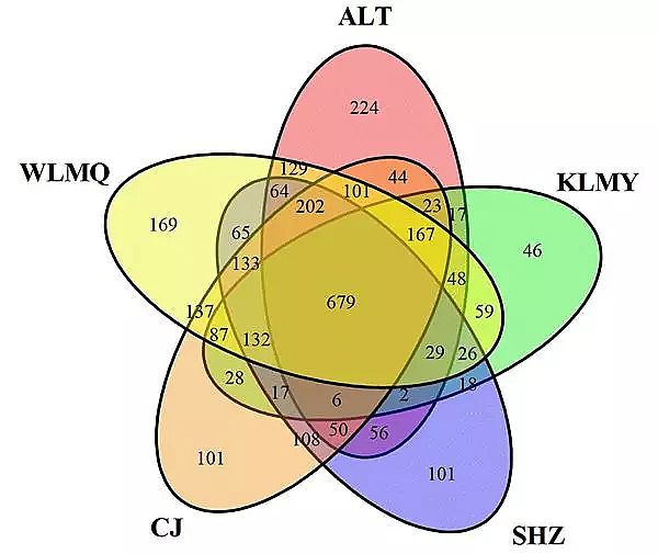 ƽYȻXaSҸɺ؅^ϹˇľȺY