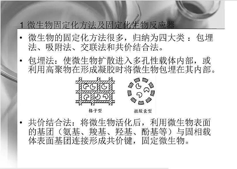 2020wϏS΢̶۰dwоpptn