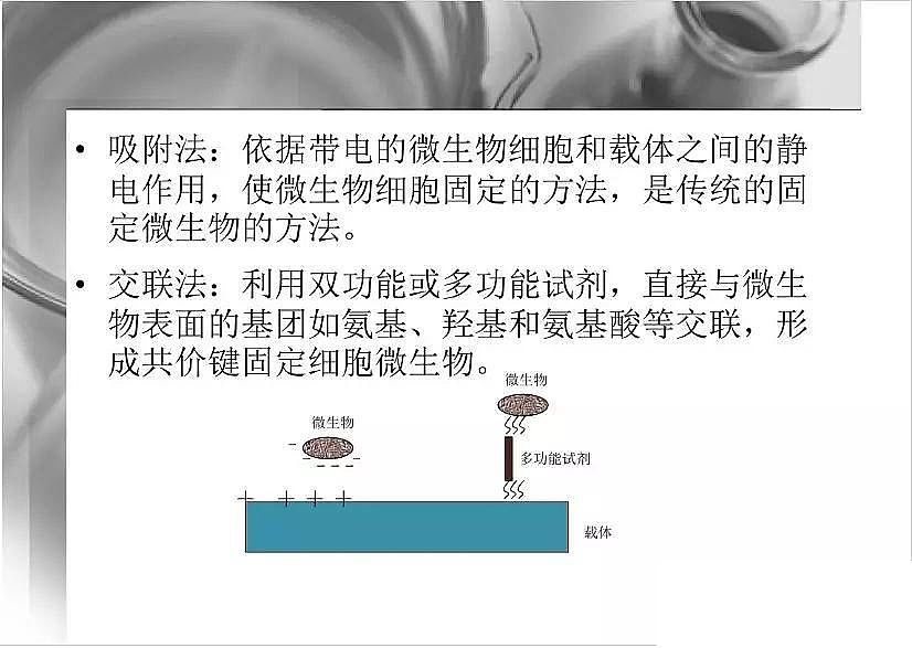 2020wϏS΢̶۰dwоpptn