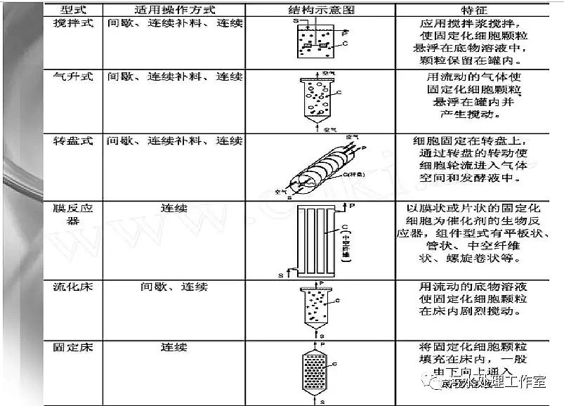 2020wϏS΢̶۰dwоpptn
