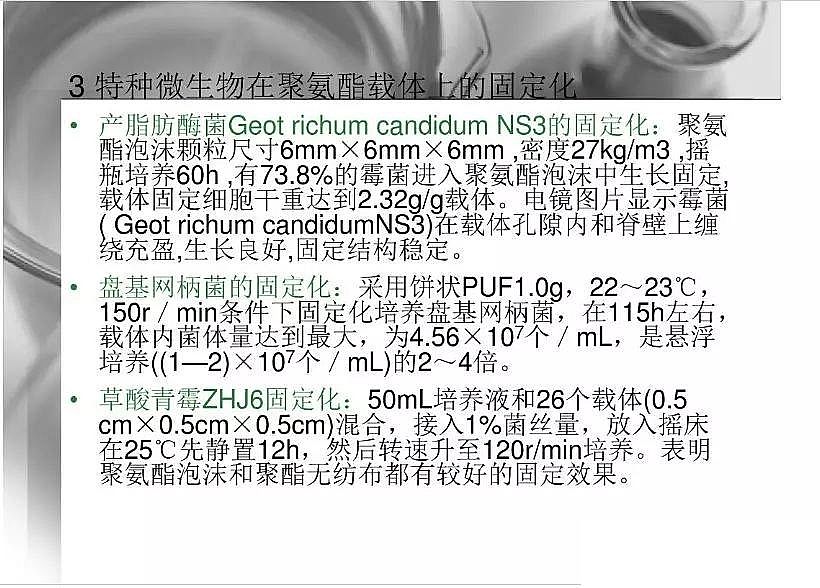 2020wϏS΢̶۰dwоpptn