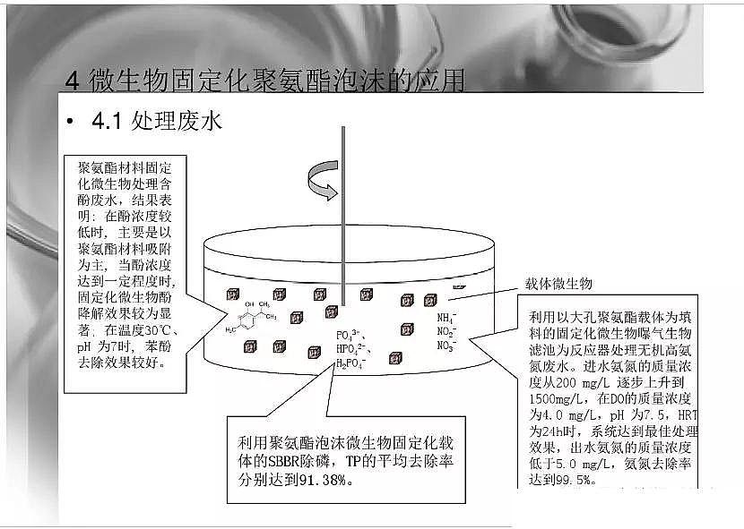 2020wϏS΢̶۰dwоpptn