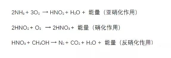 2019ʯVaSҿ@ƪ͕붮ؼؼ}ؼ}ؼPʽ