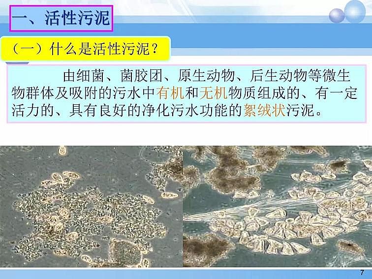 2020ca(chn)SPPTԔ෨ԭc(yng)