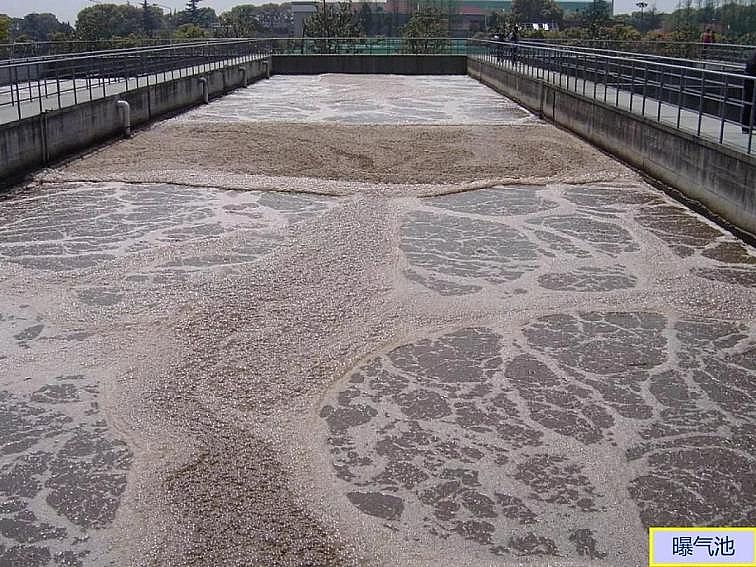 2020ca(chn)SPPTԔ෨ԭc(yng)