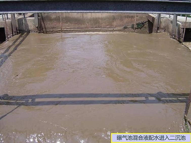 2020ca(chn)SPPTԔ෨ԭc(yng)