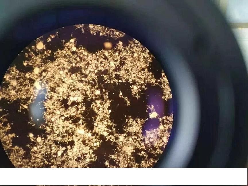 2020ۺȻFPAFCa(chn)Sϵy(tng)Ӱ