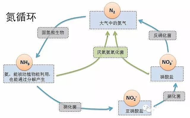 2020xӾ۱ϩS҅ˮ̎팍H