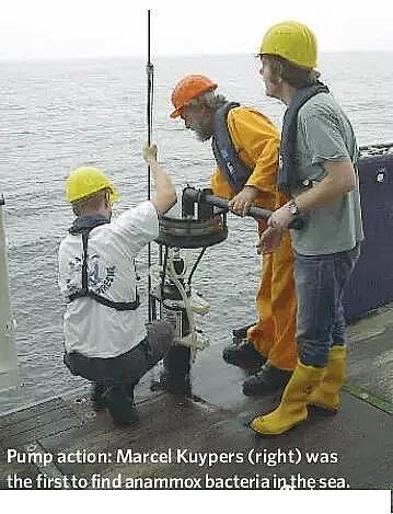 2020xӾ۱ϩS҅ˮ̎팍H