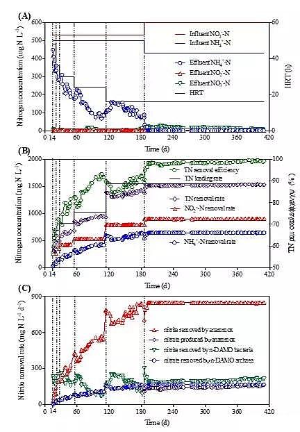2020ؚaSһʽȫÓ¼gPNAM̳++