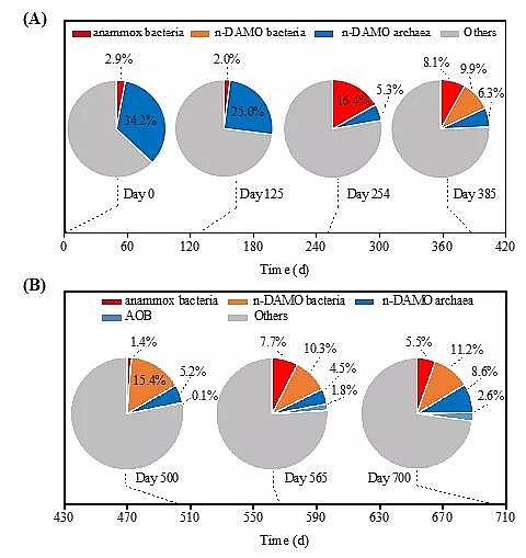 2020ؚaSһʽȫÓ¼gPNAM̳++