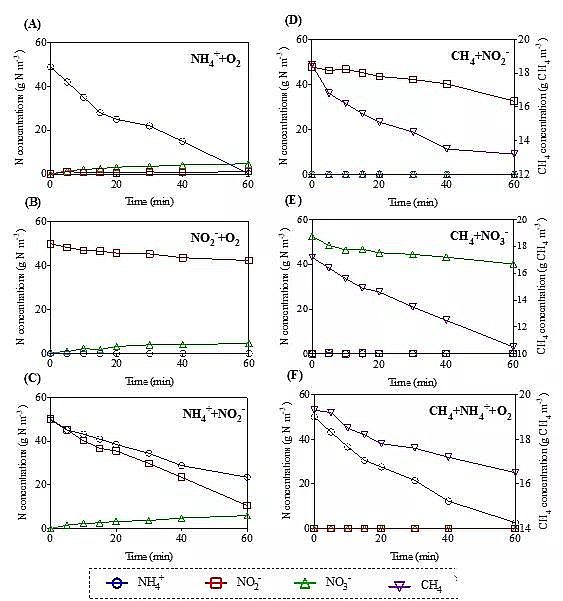 2020ؚaSһʽȫÓ¼gPNAM̳++
