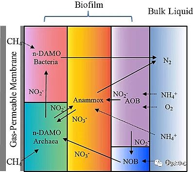 2020ؚaSһʽȫÓ¼gPNAM̳++