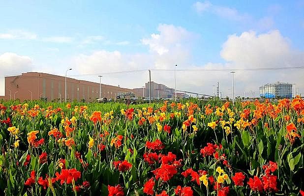 2020ۺȻFPAFCS_(ki)(chung)BOOұИI(y)h(hun)ģʽ